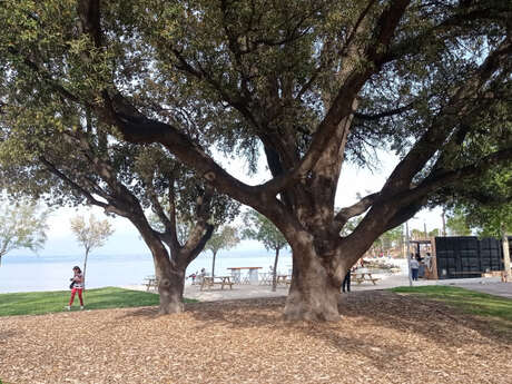 Qui es-tu ? Dialogue ludique et bienveillant