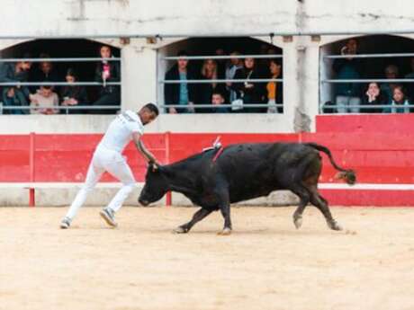 Féria d'Alès - Course Camarguaise, Trophée des AS