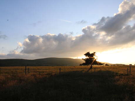 Atelier photo au crépuscule