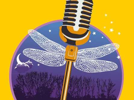 Concert : Polka Fever - Fanfare transalpine