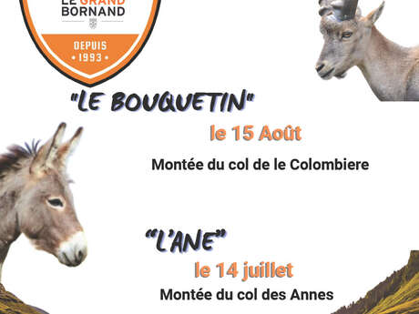 2nd cycling race L'Âne