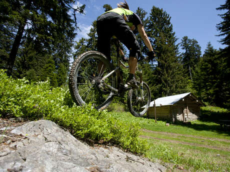 Cross country MTB - Bisanne Les Côtes