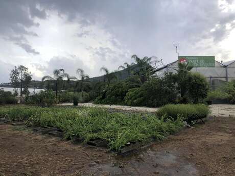Pépinière Nature et Tropiques