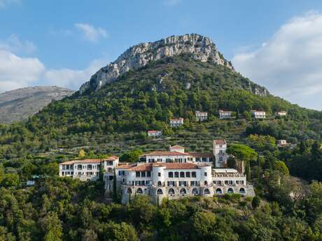 Hôtel Château Saint-Martin & Spa