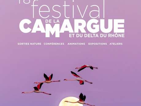 Festival de la Camargue et le Delta du Rhône aux Saintes-Maries-de-la-Mer