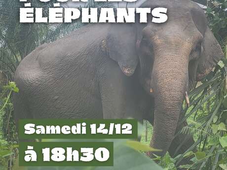 film "De l'espoir pour les éléphants"