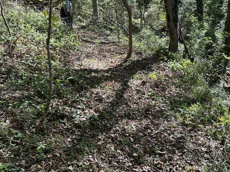 Chemin de la Quère" discovery walk