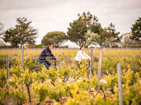 Morning bike ride through the vineyards, tour of Retais spirits and tasting accompanied by local produce