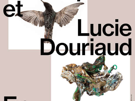 Exposition En Poussière