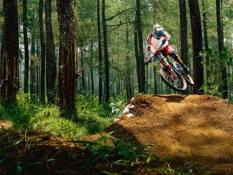 Track 1 - Mauniere tour