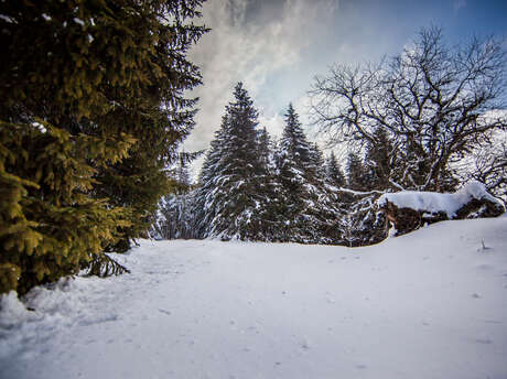 Domaine nordique du col du Béal