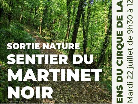 Sortie Nature : Sentier du Martinet Noir