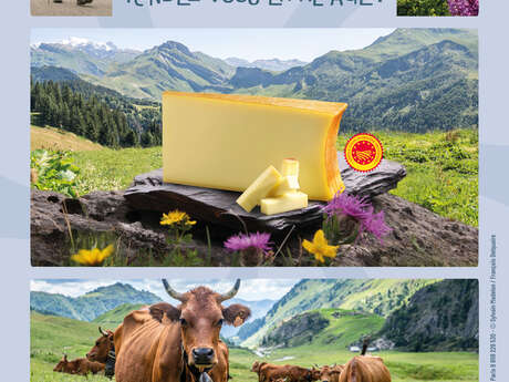 Beaufort moments - Alpage plan Périots