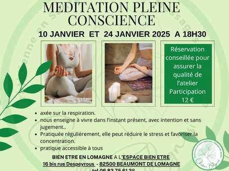 Méditation Pleine Conscience Du 10 au 24 janv 2025