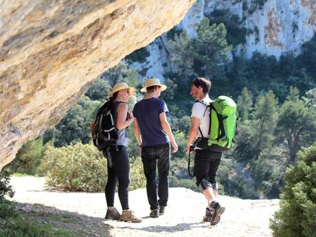 LES TAILLADES - Rochers de Baude