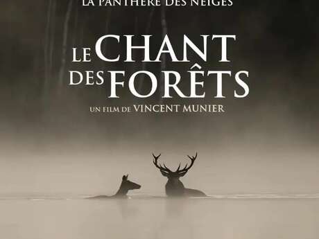 Séance de cinéma "Le chant des forêts "