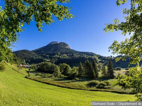 Espace naturel sensible du Marais des Sagnes