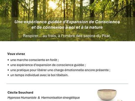 Expérience en forêt et bol tibétain