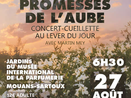 Les promesses de l'aube, concert-cueillette avec Martin Mey