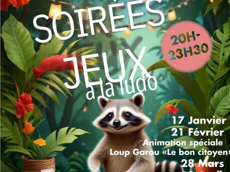 Soirée jeux à la Ludo