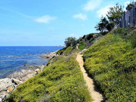 From the beach of Bonne terrasse to the top of the Camarat lighthouse" hike
