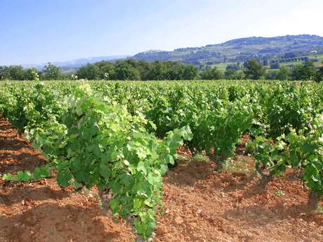 Domaine Lafran-Veyrolles