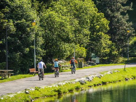 Electric MTB Trails