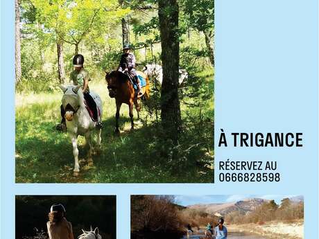 Promenades à cheval avec les chevaux de Jabron