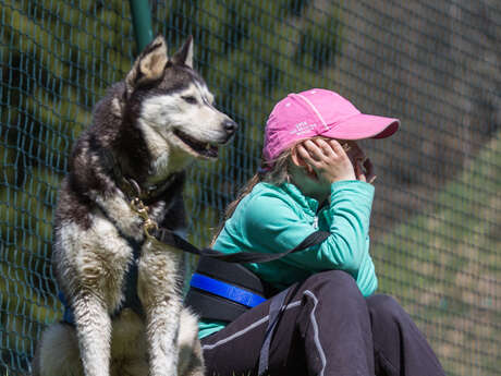 Wanderung mit Hunden