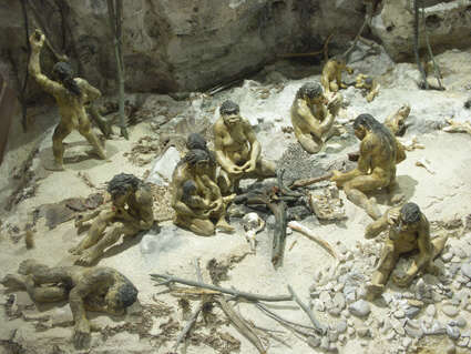 Musée de Préhistoire de Terra Amata - Entrée