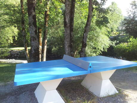 Table tennis: Village Table tennis: Village
