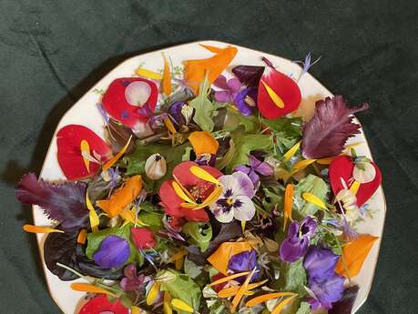 Antik’fêtes Ô musée - Éclosion printanière :  Des fleurs à croquer, des plantes à savourer