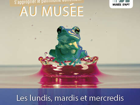 Vacances d’été au musée d’Apt - Ateliers-visites découvertes du 8 juillet au 27 août !