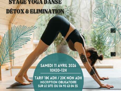 Stage de Yoga