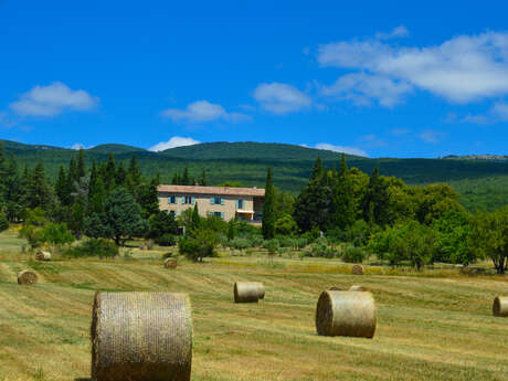 Locations de gîtes à La Bastide du Claus - Vitaverde