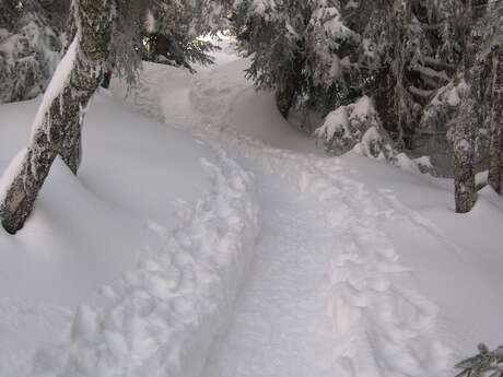 Sneeuwschoenwandeling Belvédère de la Croix