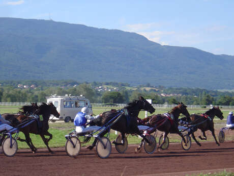 Découvrez les coulisses de l'hippodrome et l'univers fascinant des courses hippiques