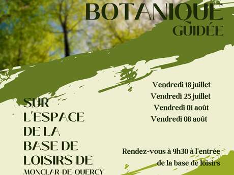 Balade botanique