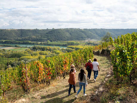 Rando Wine at Domaine Clusel-Roch
