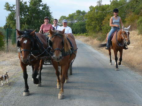 Les Traits de Provence
