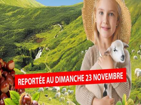 Festa della castagna