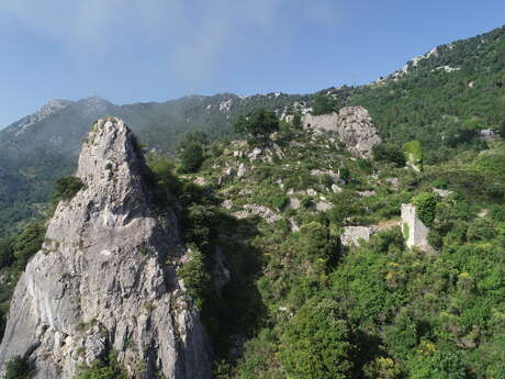 Natura 2000 : Vallée du Careï - Collines de Castellar