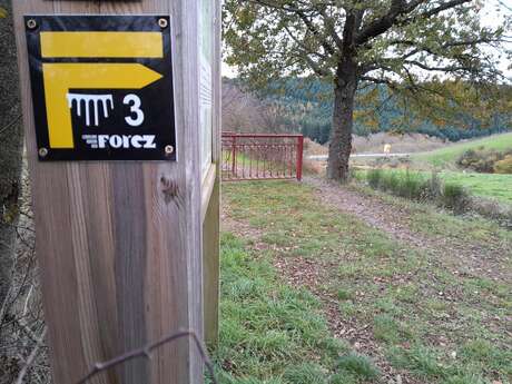 Sentier découverte du viaduc du pont marteau : les chauves-souris