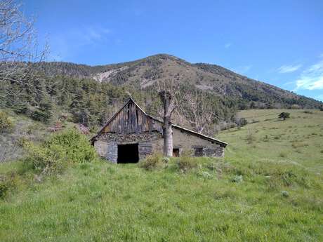 Jean Médou (Arboretum du Cubertin)
