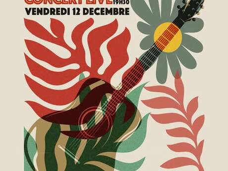 Concert live Blues Folk Transcendantal