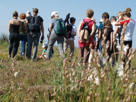 Éco-balade naturaliste dans la plaine de la Crau