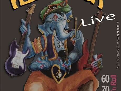 Concert -Feedback
