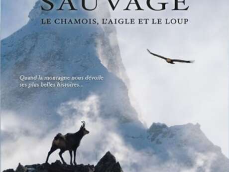 Projection du film documentaire "Sauvage, le chamois, l'aigle et le loup"