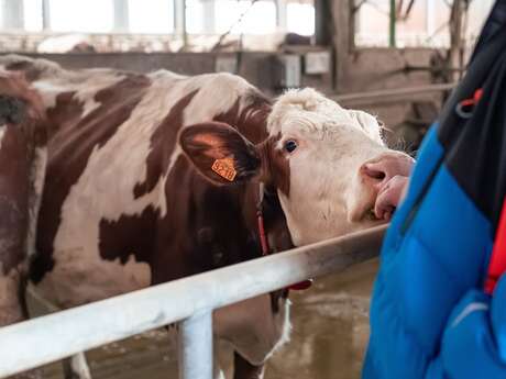 Ferme " Les Montagnards" - Exploitation agricole