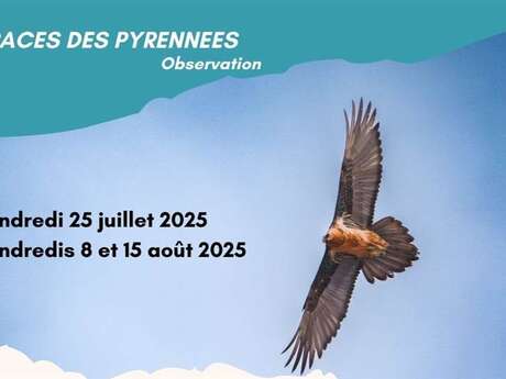 Rencontre avec les rapaces